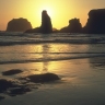 Beach Sunset