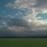 Grass & Sky