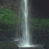 Stream Fall